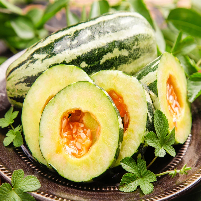 花皮酥瓜种子脆甜香瓜种子大田高产酥瓜种籽春季瓜果酥瓜蔬菜种籽