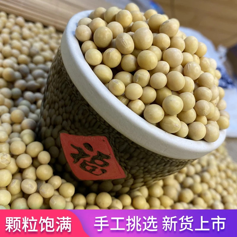 农家自种黄豆磨豆浆发黄豆芽五谷杂粮1斤-5斤