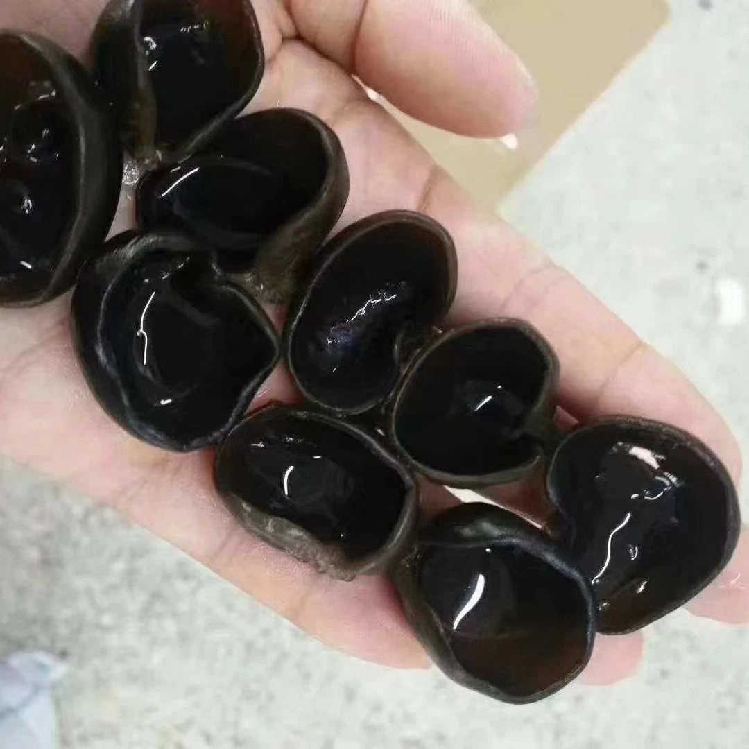 饶河初级农副产品小碗耳干（500克）散装称重