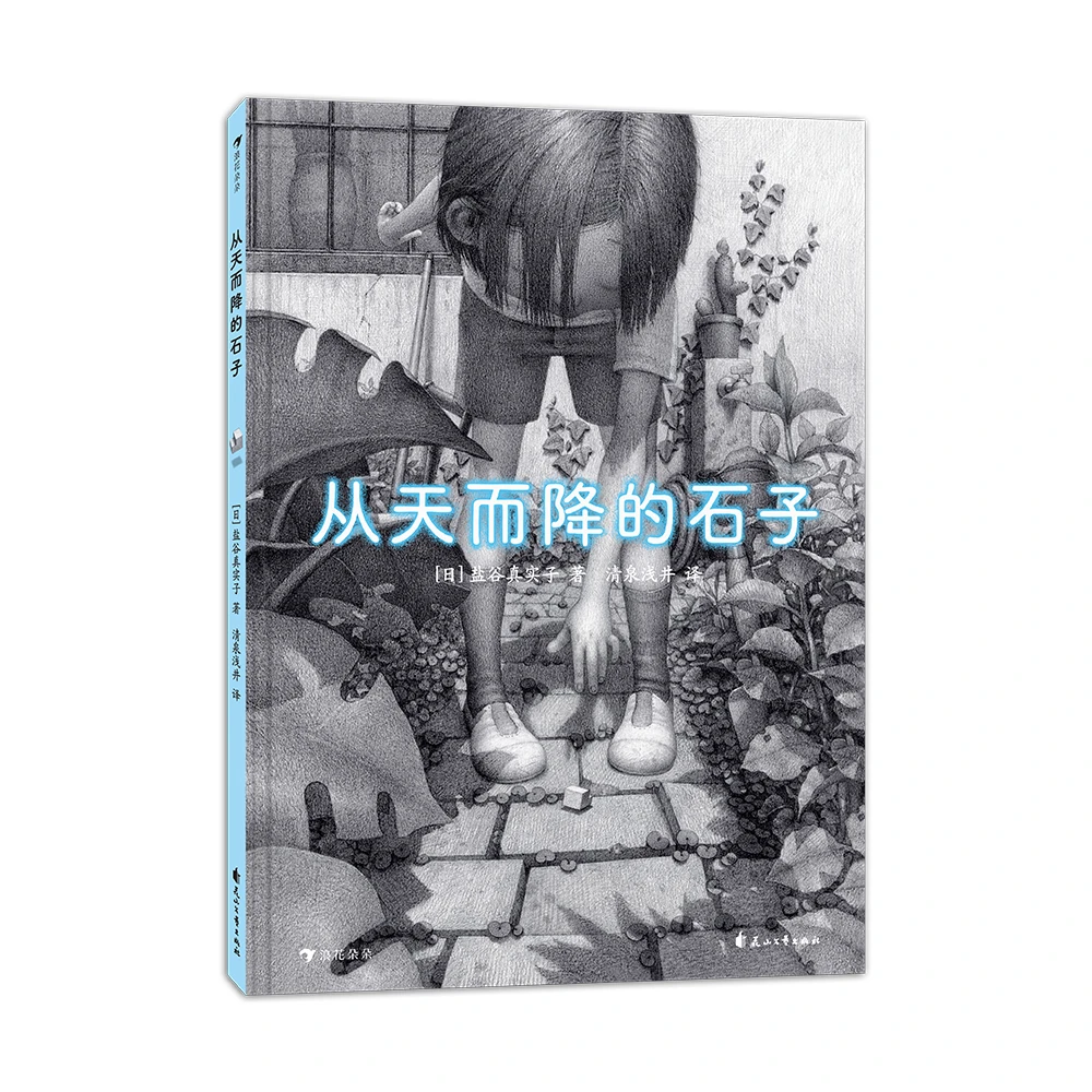 从天而降的石子  正版书籍精选好书