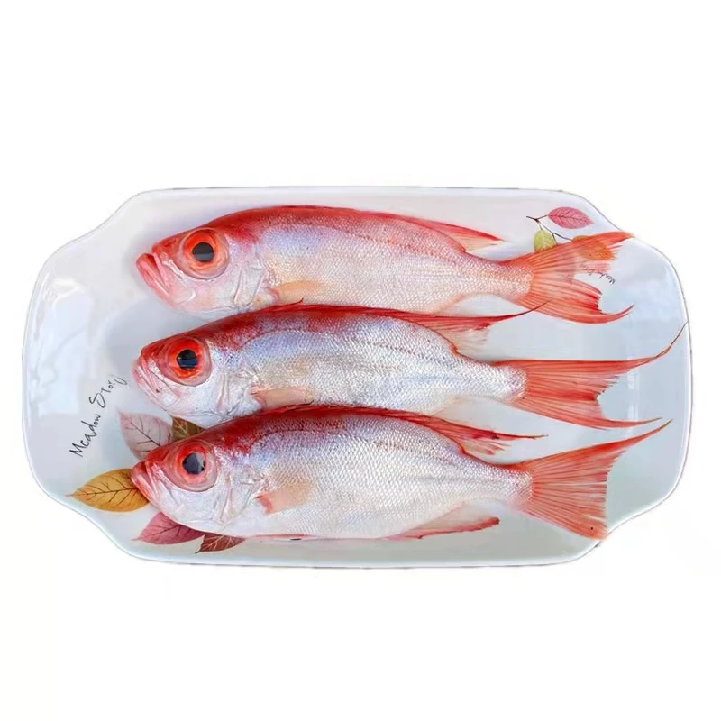 广东省汕尾市马宫港口红目连鱼大眼鸡鱼冷链发货处理配送品质