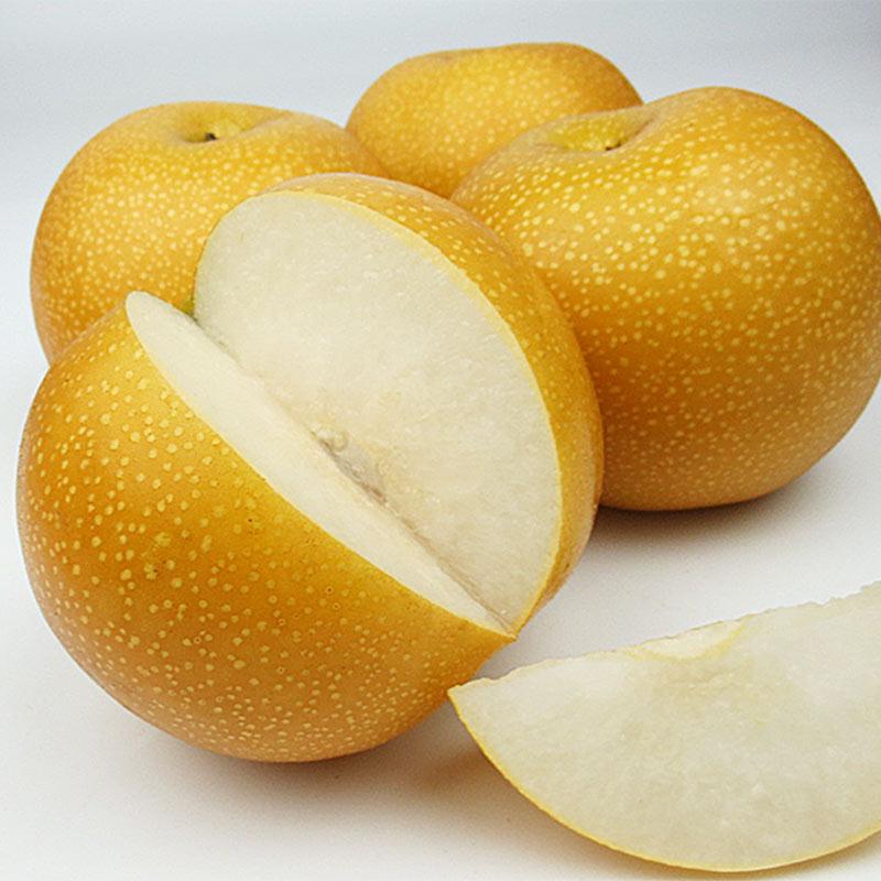 山东特产正宗秋月梨冰糖梨脆甜多汁果园现摘发货5斤-4