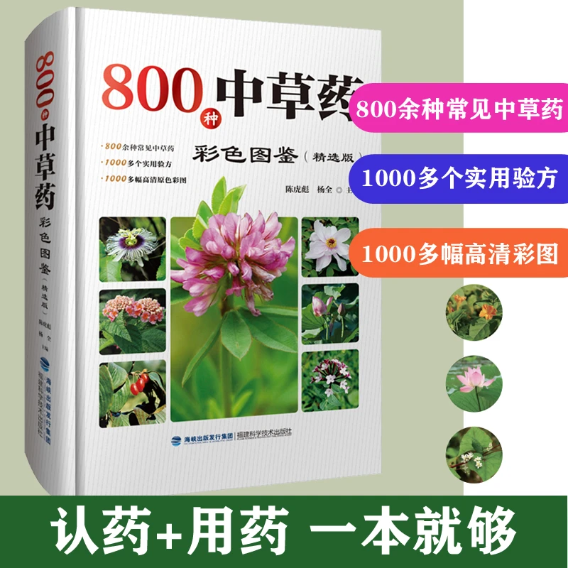 800种中草药彩色图鉴(精选版) 中药材大百科本草纲目彩色图鉴
