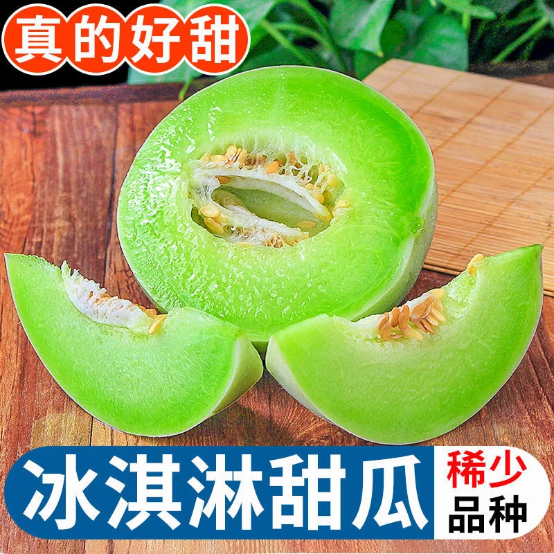 【鲜迹生鲜】山东头茬玉菇甜瓜绿瓤冰淇淋蜜瓜香瓜4.5-5斤软糯香