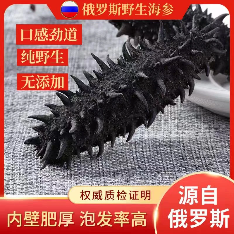 俄罗斯淡干海参100头 50g.8个多干  包邮
