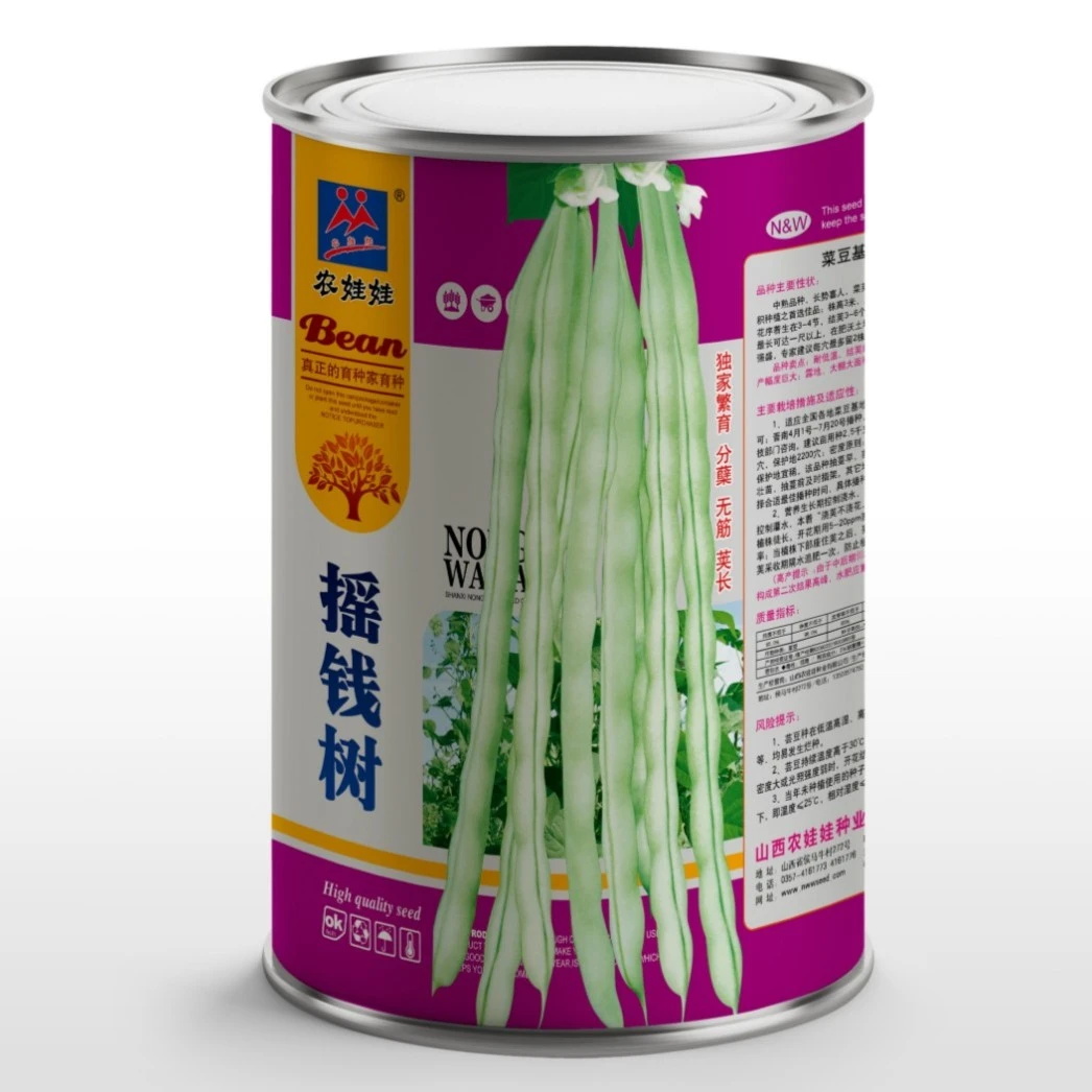 农娃娃摇钱树架豆四季豆压塌架架豆高产架豆亩产万斤豆翠绿色架豆