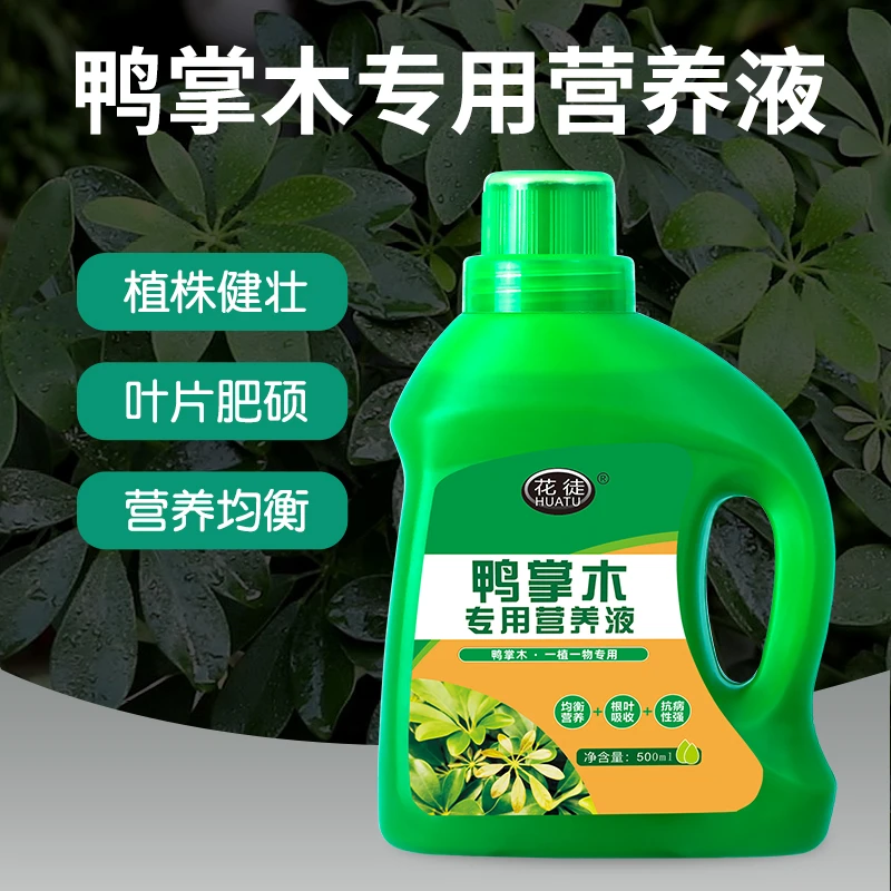 花徒 鸭掌木专用营养液 绿植园艺浓缩营养液体花卉盆栽有机肥料