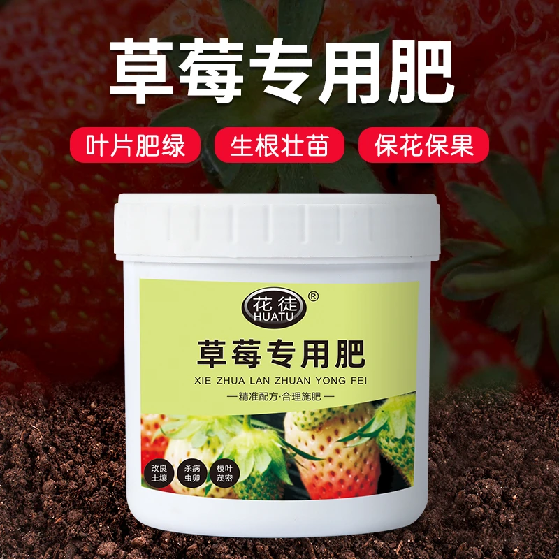 花徒草莓专用肥花肥料绿叶营养液盆景盆栽复合肥有机肥四季缓释
