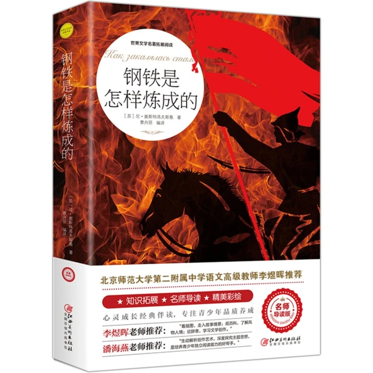 钢铁是怎样炼成的 外国小说世界文学名著拓展 小学生课外故事书