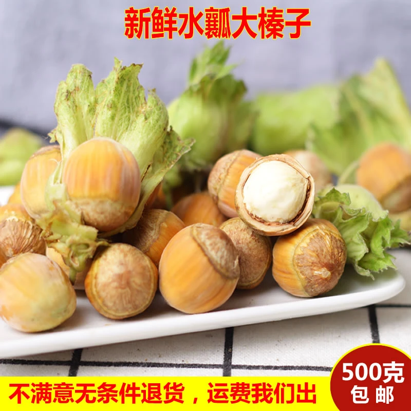 新人福利大果-2024年新鲜大榛子新货东北特产野生带绿皮水仁2斤