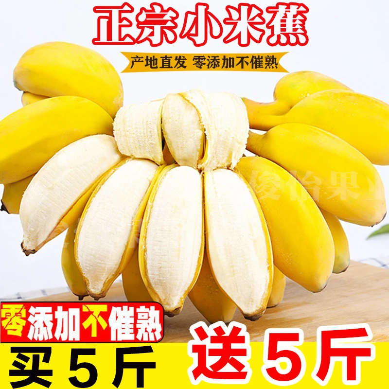 正宗广西小米蕉新鲜水果10斤甜皇帝蕉批发整箱香蕉苹果蕉粉蕉当季