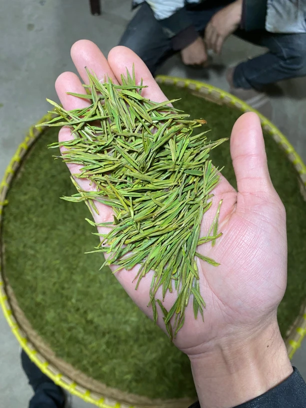 2025年高山白茶罐装