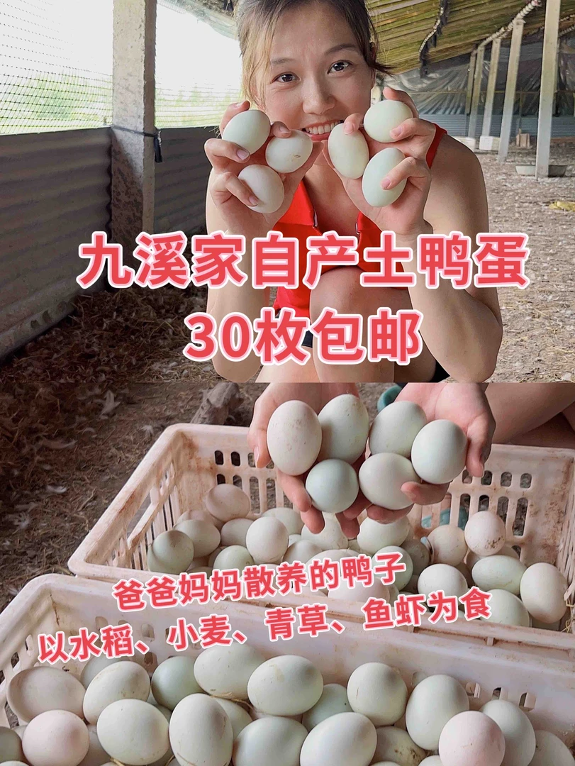 九溪家正宗土鸭蛋生态散养30枚新鲜绿壳鸭蛋包邮