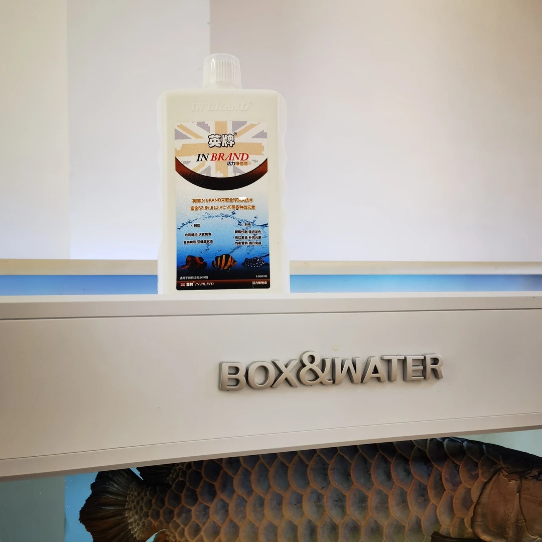 英牌维他命促进生长增体色增艳促进水族营养液
