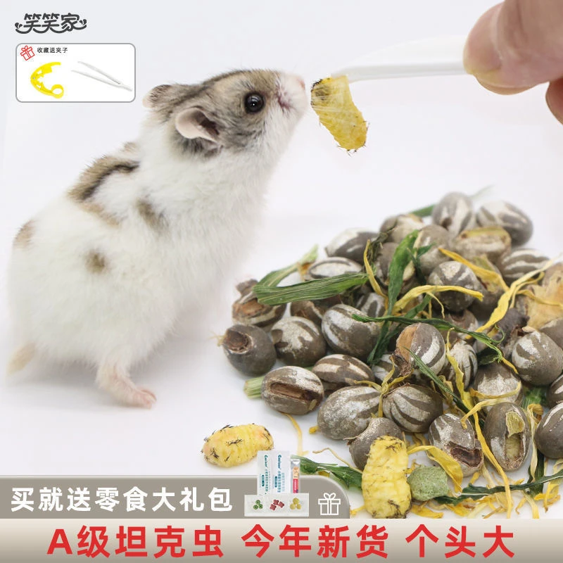 坦克虫仓鼠零食高蛋白营养金丝熊蜜袋鼯增肥长胖花枝鼠粮食洋辣子