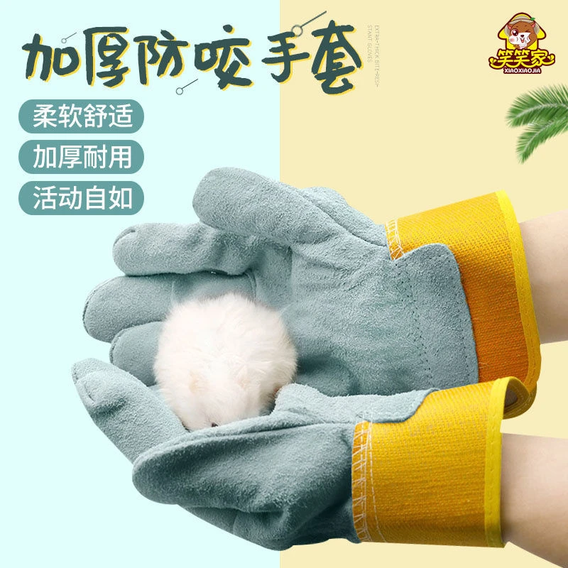 仓鼠手套防咬玩具宠物金丝熊刺猬松鼠鱼龟抓捕网荷兰猪用品防咬伤