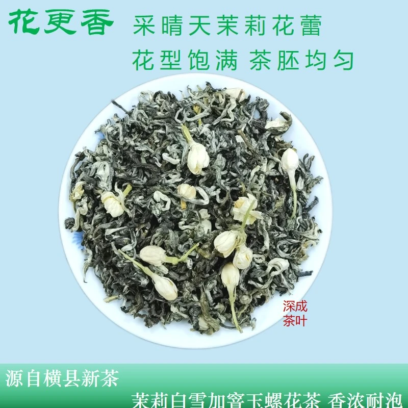 深成2025白雪飘香茉莉花茶不贵但很美味高香浓香型口粮茶花味足
