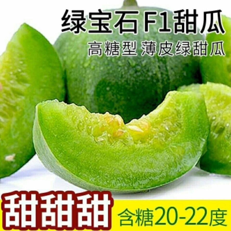 绿宝石甜瓜种子薄皮超甜香瓜种子春季四季脆瓜早