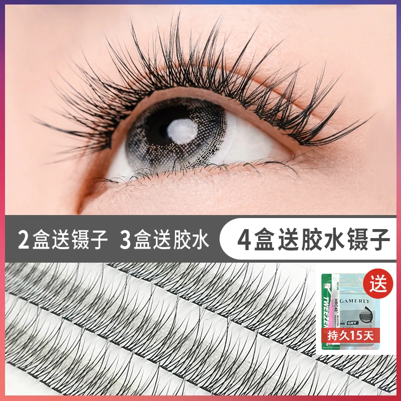 网红新款鱼尾新手自嫁接单簇假睫毛超自然仿真款2025爆款种植朵毛