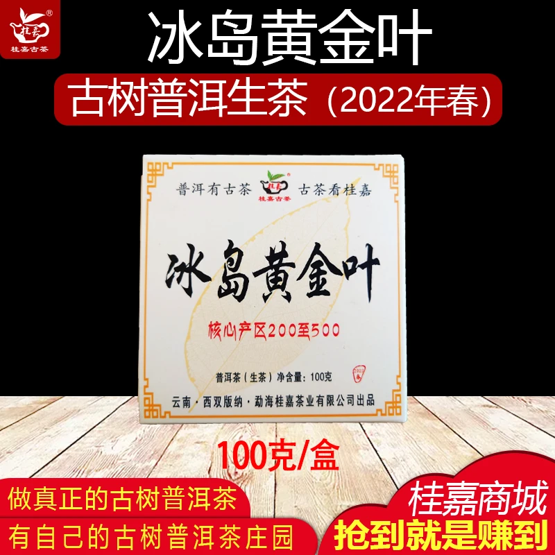 正宗冰岛黄金叶 树龄200~500的核心产区  古树普洱生茶  桂嘉古茶