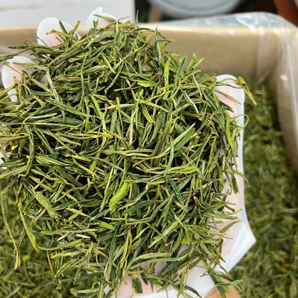 【活动款】精选黄山毛峰/浓兰花香/4泡/一芽两叶口粮茶500g