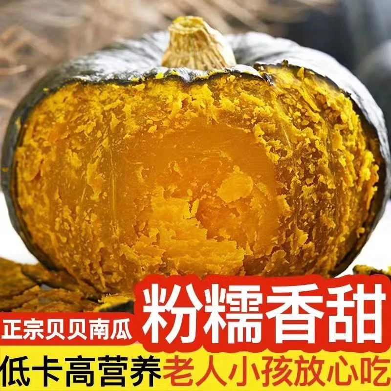 【源头直发】贝贝南瓜5斤/10斤板栗度假粗粮甜糯产地直供粉糯孕妈