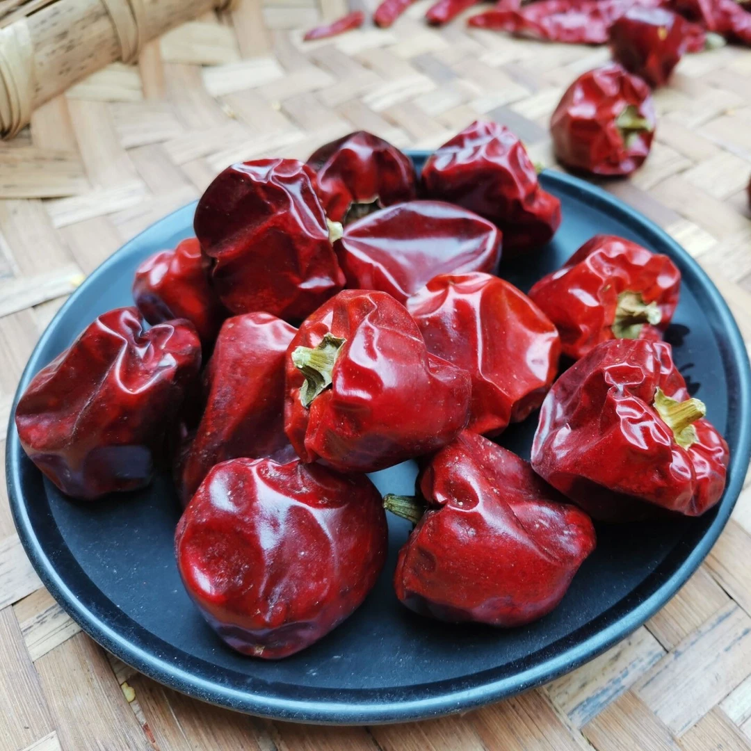 中辣特香灯笼辣椒灯笼椒干货干辣椒红海椒500g麻辣香锅干火锅