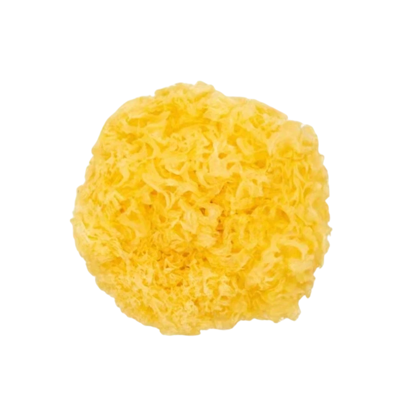 丑耳1朵银耳丑耳食用农产品35g