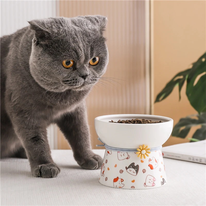 家用陶瓷防打翻高脚双碗猫粮食盆保护猫咪颈椎喝水碗狗碗可爱日式