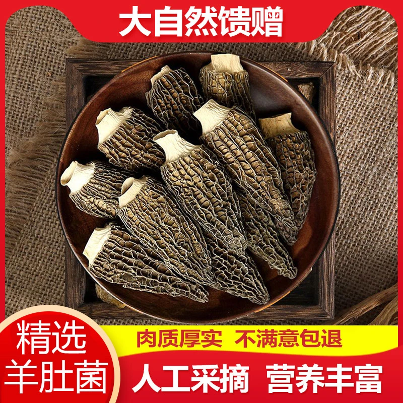 2025头茬羊肚菌煲汤6妹饱满干货肉厚优质食用菌菇