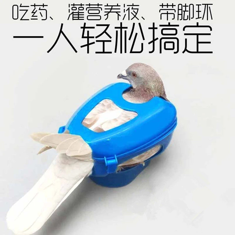 【爱鸽】鸽子固定器 蓝色 白色可选 鸽具