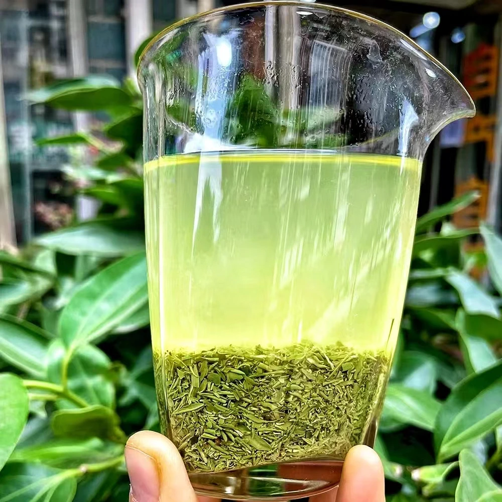 信阳毛尖泡茶绿茶茶香盒装明前茶沫芽尖碎茶精品茶末500g