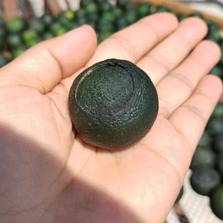 预定新会天马原枝小青柑DIY小青柑茶果自然晾晒干存500克送玻璃瓶