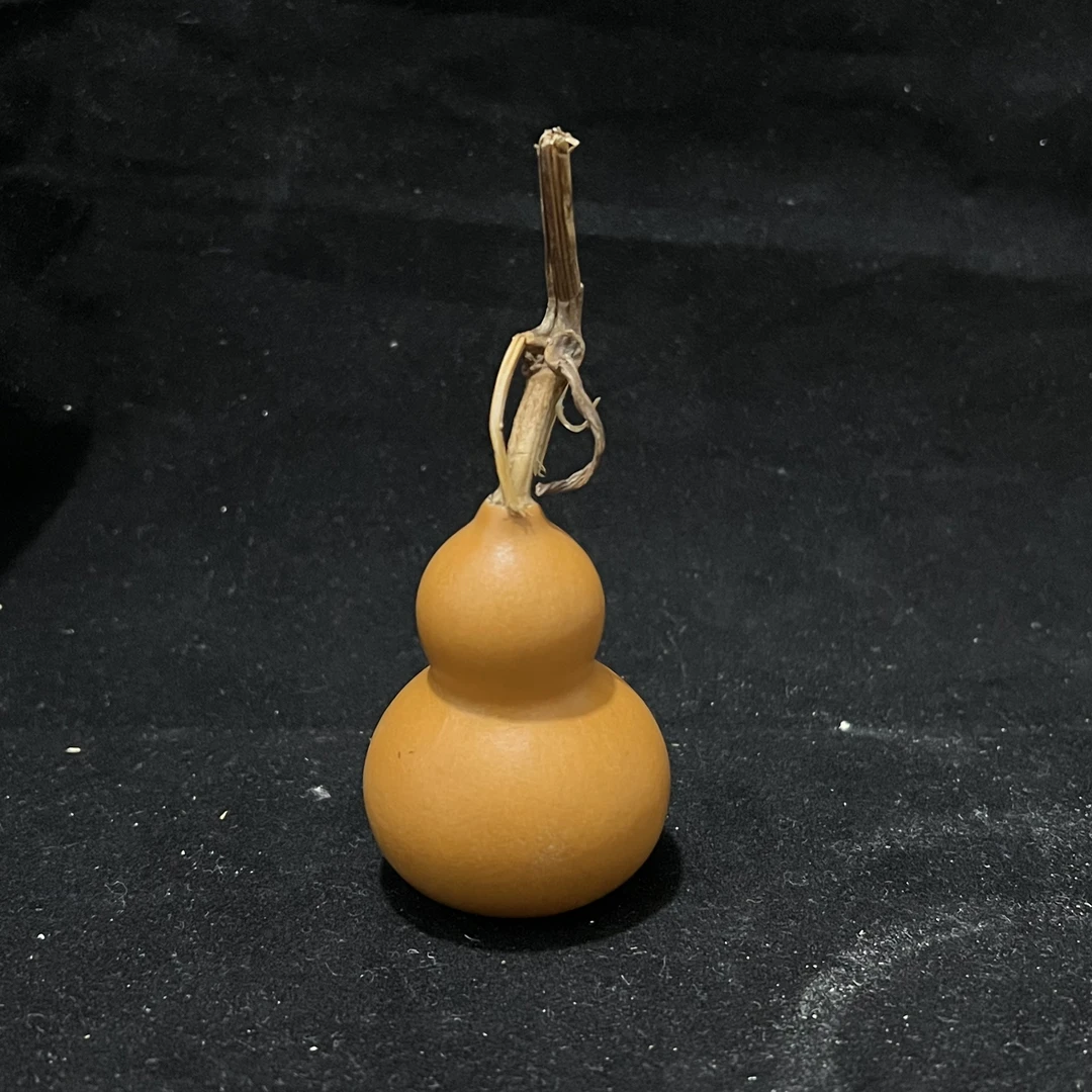 精品葫芦 请在直播间选购下单(付款对应价格)
