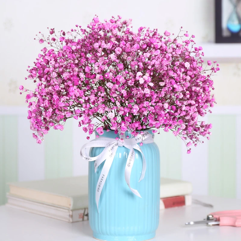 满天星鲜花云南直发吸色满天星花束一把直批发家用办公室插花干花