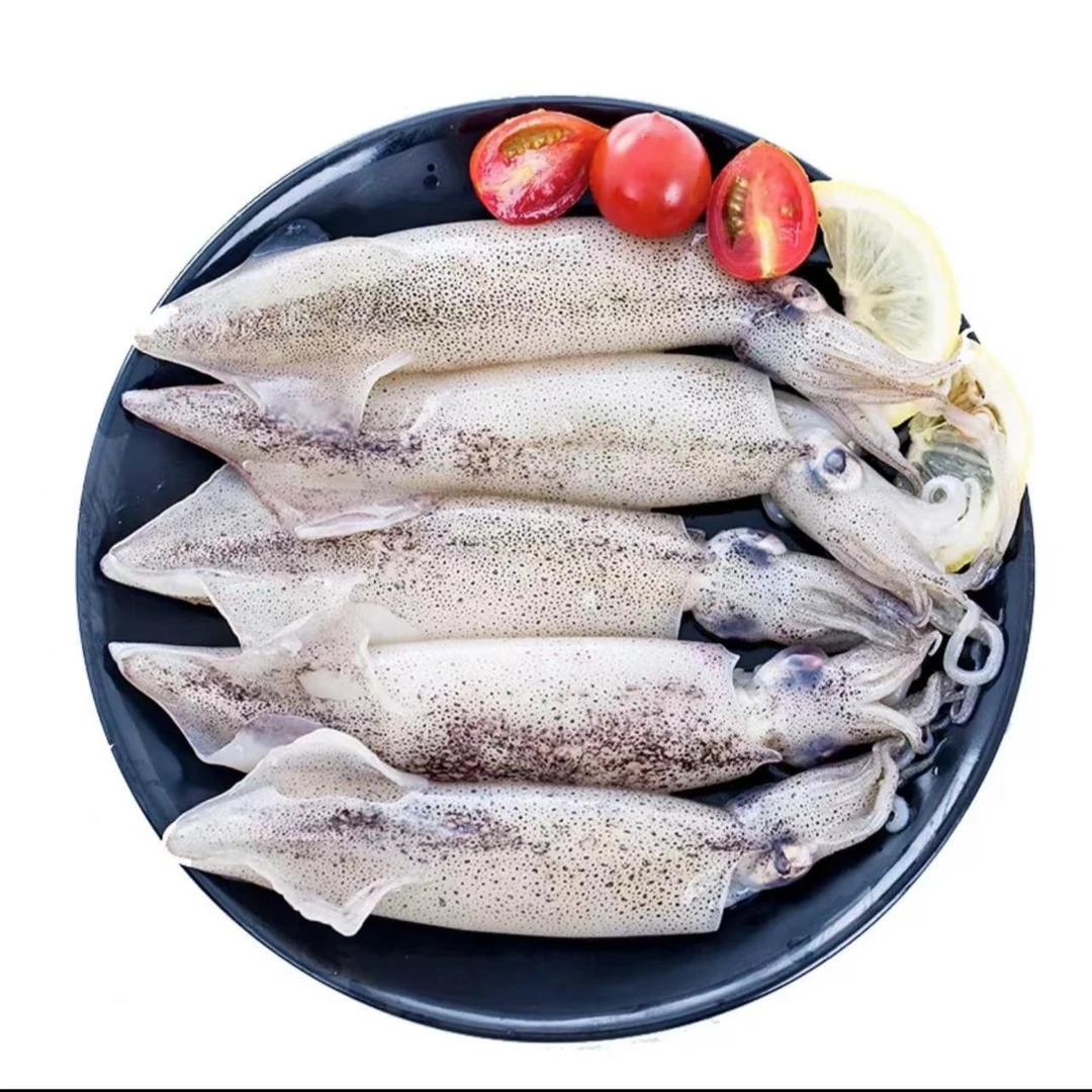 【店家推荐】  公体海兔（新鲜速冻，笔管鱼） 2斤/3斤/4斤/5斤装