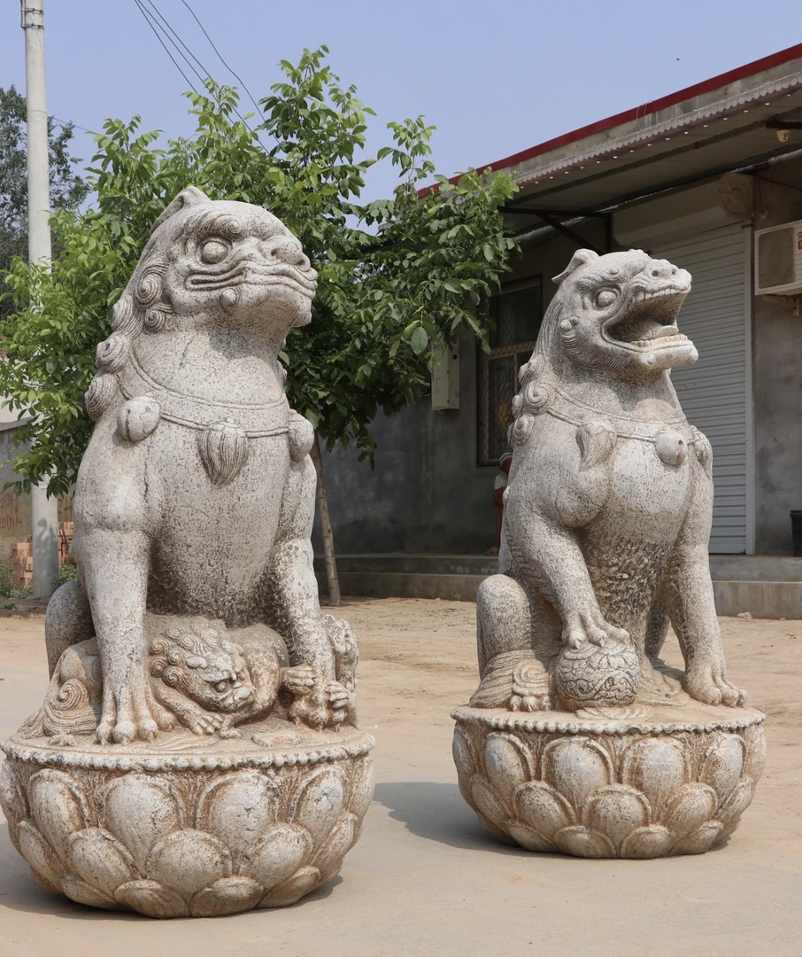 帅木堂石雕狮子 不包邮