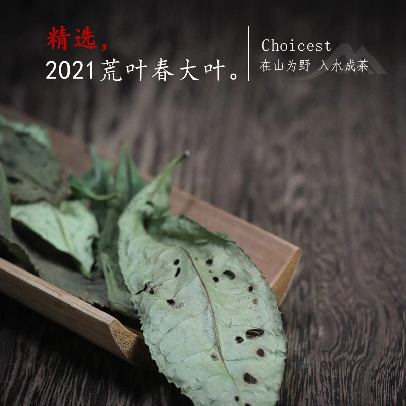 深山行2021荒叶春大叶 福鼎白茶荒野二级寿眉 纯甜鲜爽 20克/盒