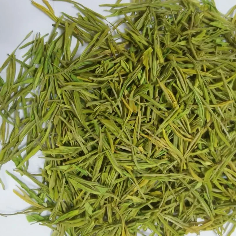 紫道源东边山茶叶-奶白茶青绿茶春季
