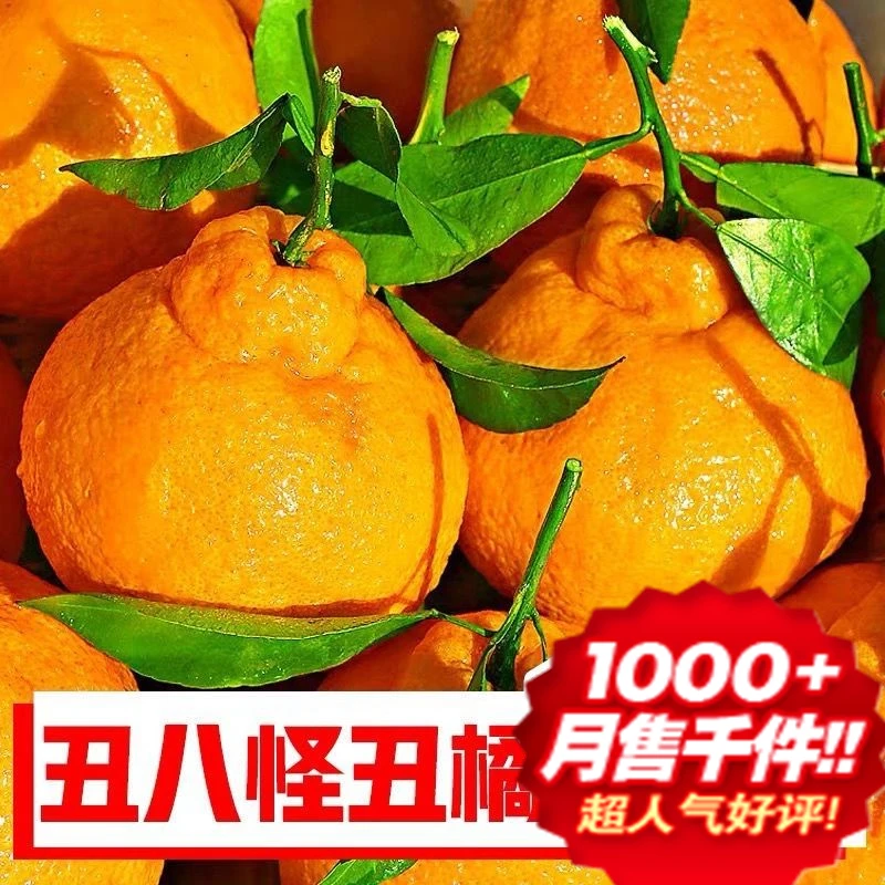 正宗四川网红品质新鲜当季酸甜多汁丑橘不知火产地发货丑桔脆爽