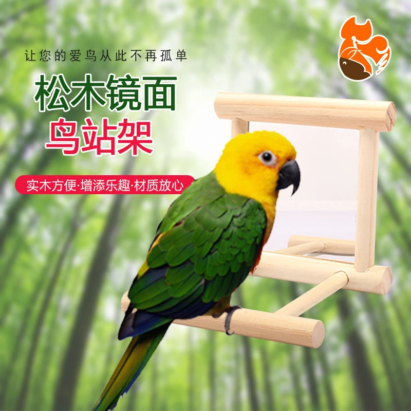 小型玄购鹦鹉站架子推荐鹦鹉专用站杆玩具木制鹦鹉站立支架挂架