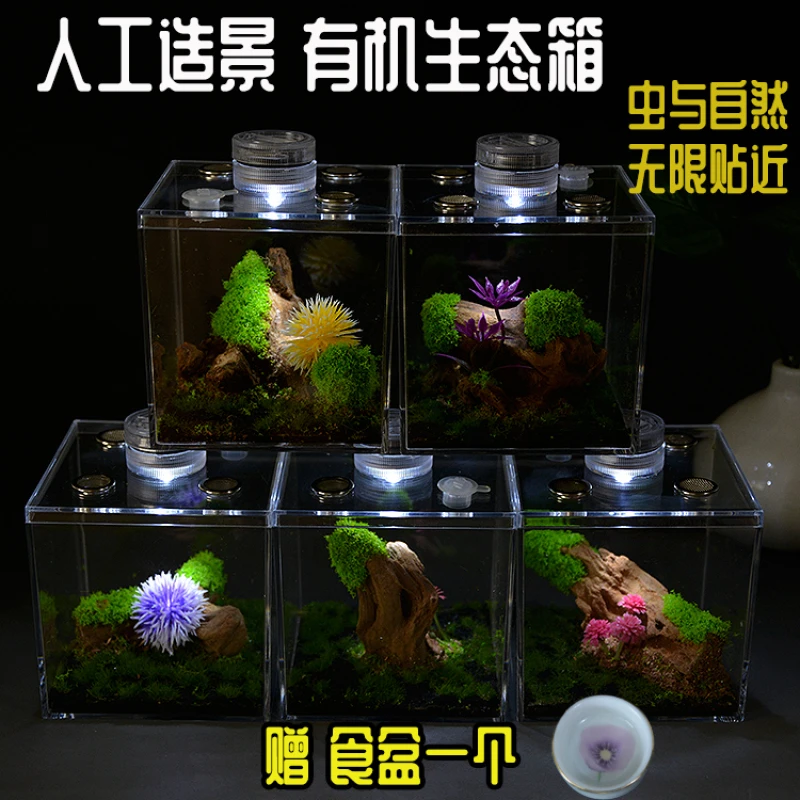 赠食盆鸣虫有机生态箱人工造景昆虫盒保湿好竹蛉盒蝈蝈罐小型