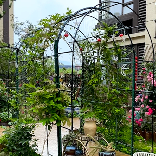 园艺铁线莲月季拱形拱门花架