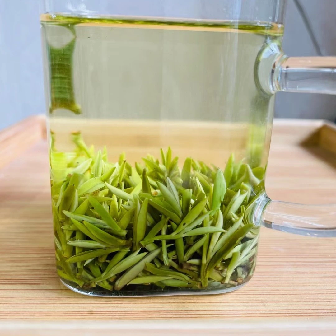 七品香沟2024新茶湖北宜昌贡芽