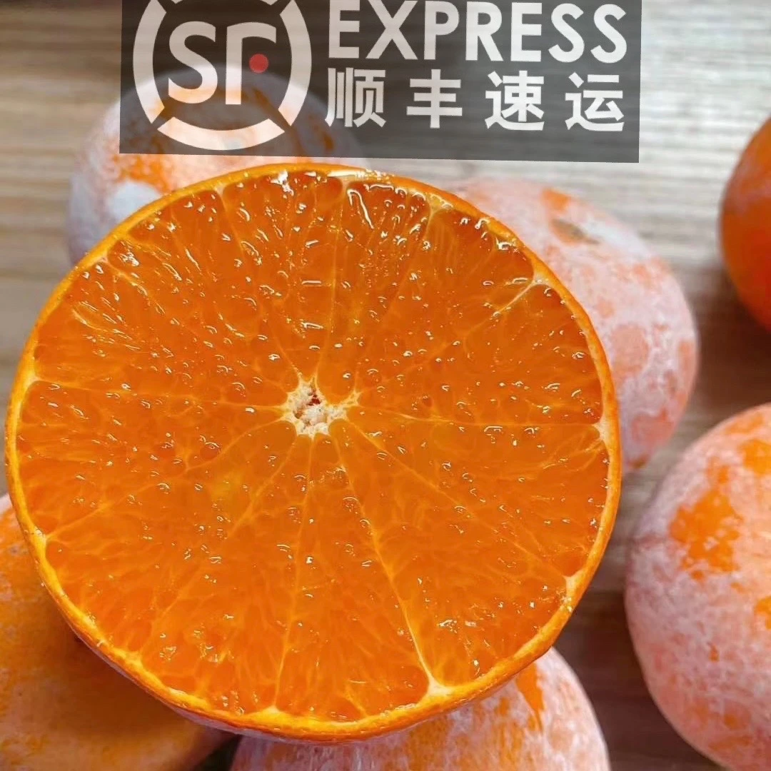 顺丰包邮 小东专属 广西武鸣茂谷柑3/5/8斤净重不泡保鲜