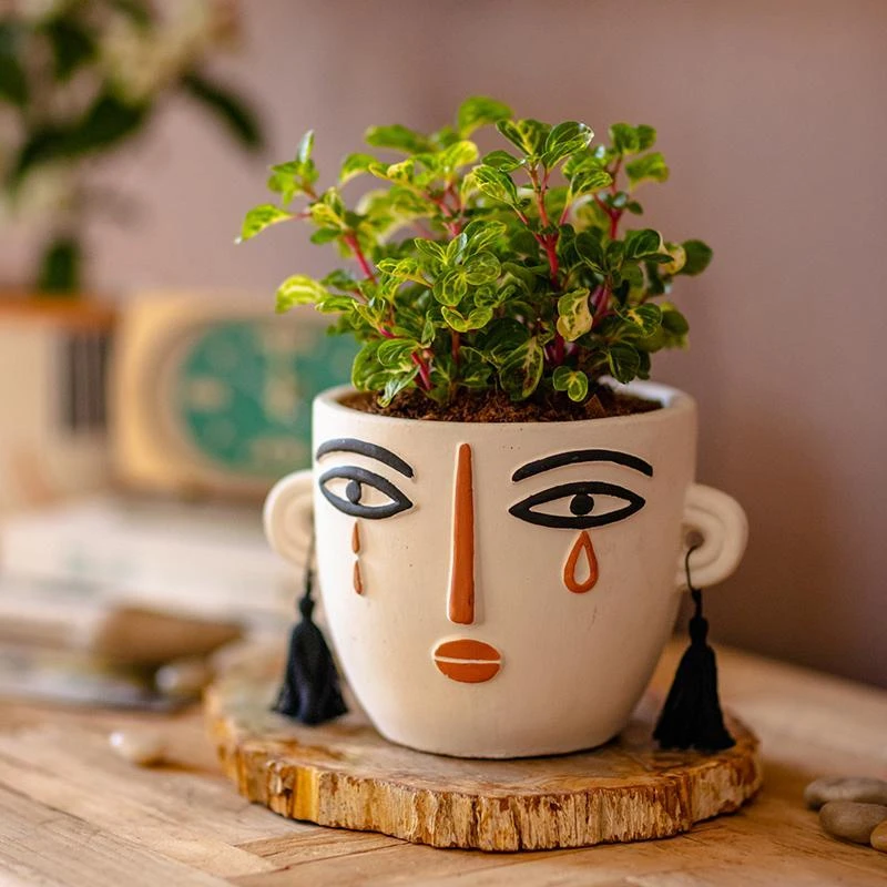 掬涵艺术人脸花盆水泥透气多肉绿植盆栽个性花器阳台花园装饰摆件