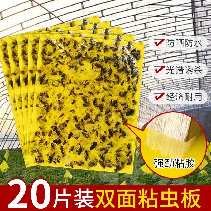 双面型粘虫板果园大棚家用双面诱杀小黑飞蓟马蚜虫粉虱潜叶蝇蚊蝇