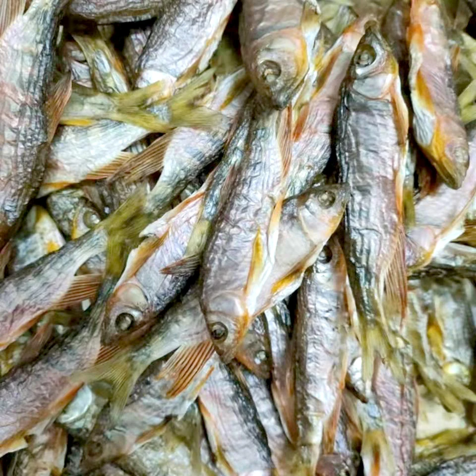 江西小干鱼150g鱼干烘干小鱼干去肚马口鱼特产溪流淡水鱼干干货