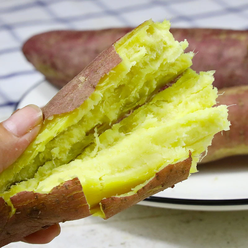 新鲜板栗红薯粉糯香甜当季现挖沙地番薯农家自种地瓜山芋黄心蜜薯