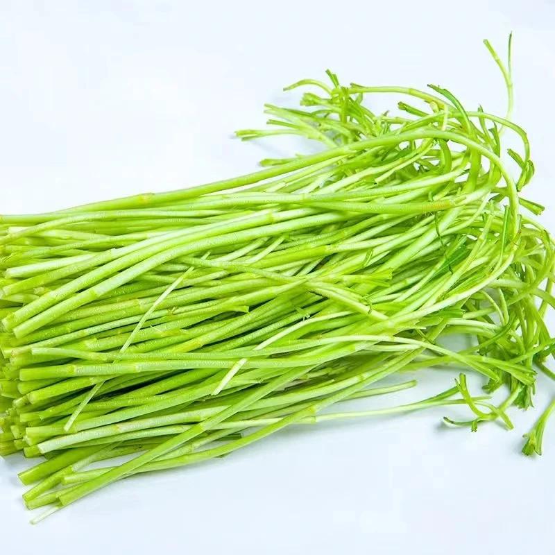 苏草【顺丰包邮】【去跟去叶净菜发】当季新鲜芦蒿篱蒿泥蒿黎蒿1-5斤